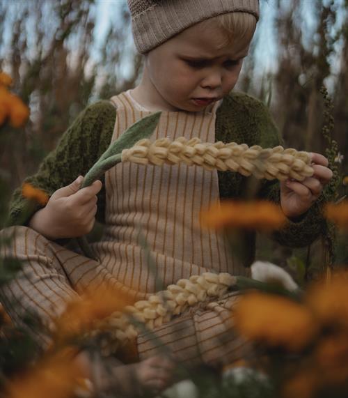 Lavendel i lysegul
