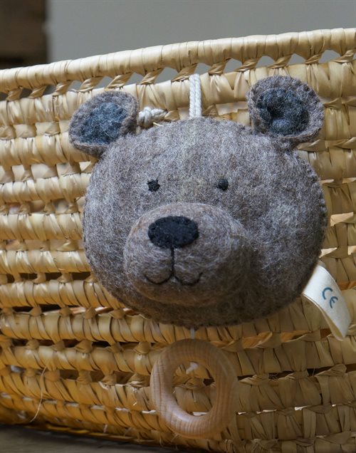 Musikuro, Teddy
