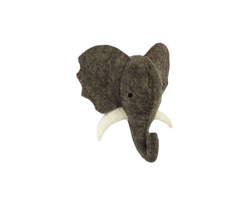 Trofæ, Elefant, Lille