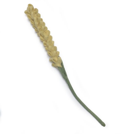 Lavendel i lysegul