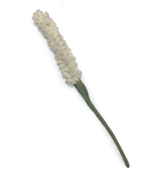 Lavendel i hvid