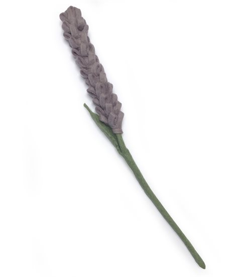 Lavendel i lyselilla