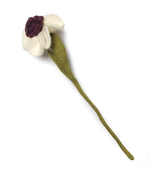 Julerose Hvid
