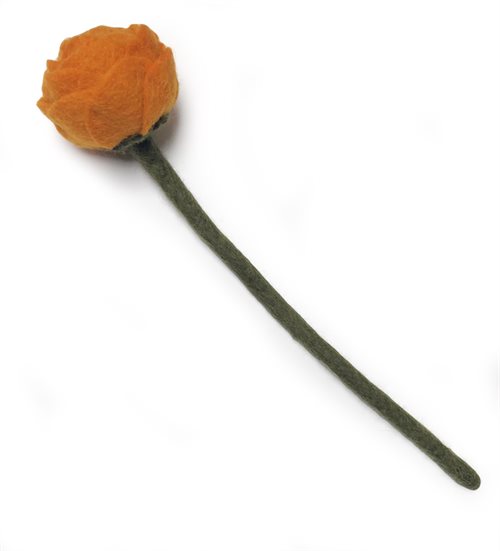 Pæon i orange