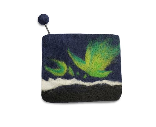 Penalhus med nordlys